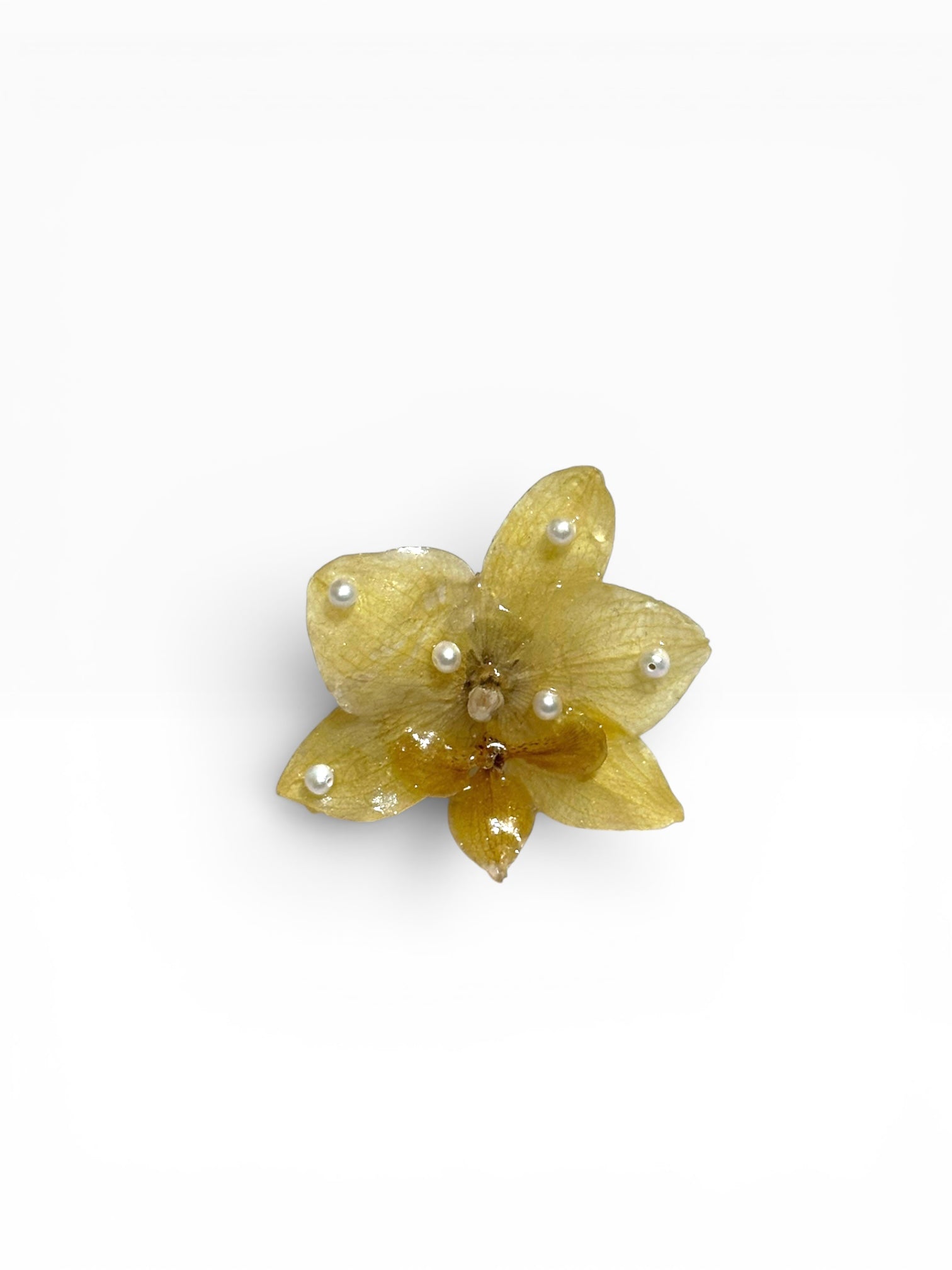 Sunshine orchid ring
